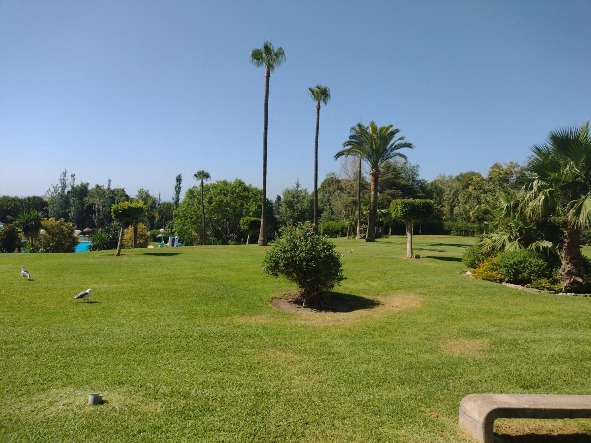 Estudio Minerva 429, Costa Del Sol ベナルマデナ エクステリア 写真